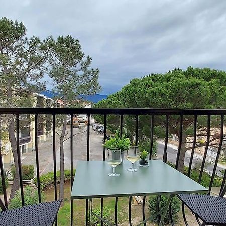 Appartement Renove Avec Balcon A 100 M De La Plage Argeles-sur-Mer Bagian luar foto